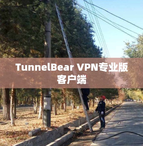 TunnelBear VPN专业版客户端