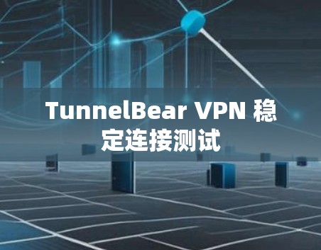 TunnelBear VPN 稳定连接测试