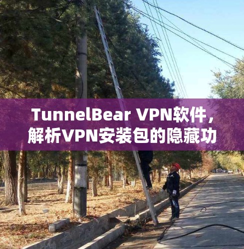 TunnelBear VPN软件，解析VPN安装包的隐藏功能与实用技巧