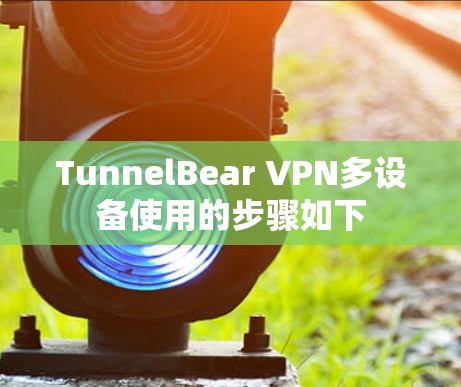 TunnelBear VPN多设备使用的步骤如下