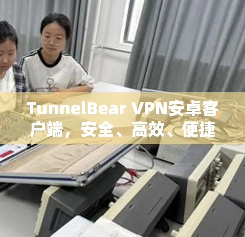 TunnelBear VPN安卓客户端,安全、高效、便捷