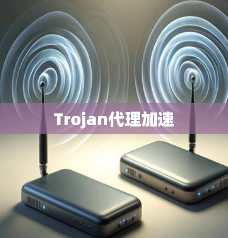 Trojan代理加速