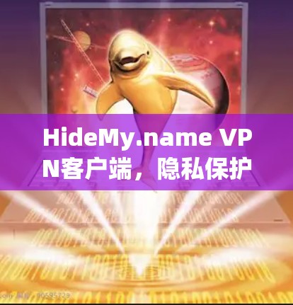 HideMy.name VPN客户端，隐私保护与高效网络连接的完美结合