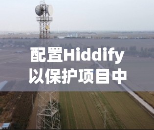 配置Hiddify以保护项目中的文件，可以遵循以下步骤
