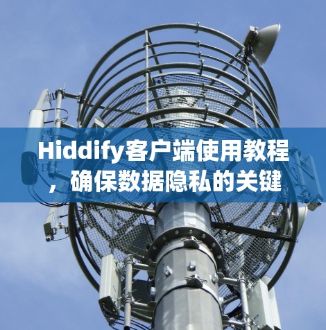 Hiddify客户端使用教程，确保数据隐私的关键
