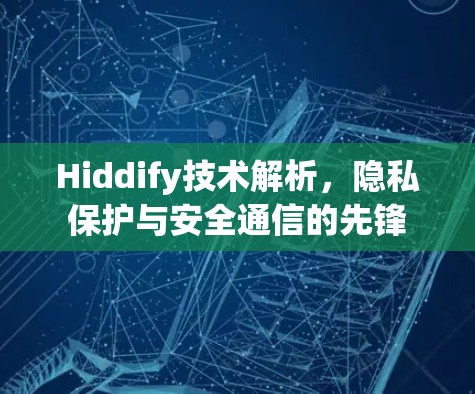 Hiddify技术解析，隐私保护与安全通信的先锋