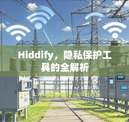 Hiddify，隐私保护工具的全解析