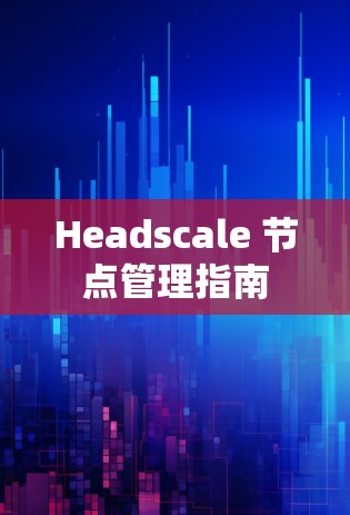 Headscale 节点管理指南