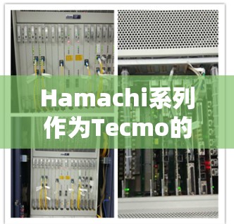 Hamachi系列作为Tecmo的经典战斗游戏系列，最新版本是Hamachi3.这款游戏延续了系列的经典玩法，同时加入了许多新元素和改进