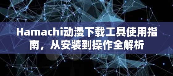 Hamachi动漫下载工具使用指南，从安装到操作全解析
