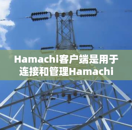 Hamachi客户端是用于连接和管理Hamachi网络的应用程序。Hamachi是一个基于零信任的网络连接工具，允许用户在本地网络中创建安全的虚拟网络，方便多设备之间的互联