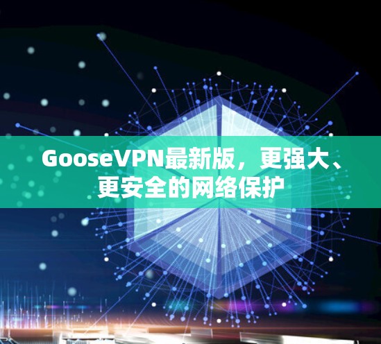 GooseVPN最新版，更强大、更安全的网络保护