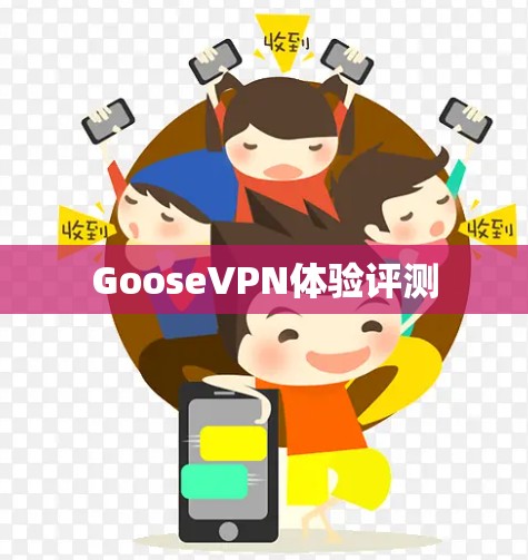 GooseVPN体验评测