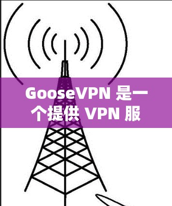 GooseVPN 是一个提供 VPN 服务的公司，旨在为用户提供匿名、安全的网络连接。以下是 GooseVPN 的主要功能介绍