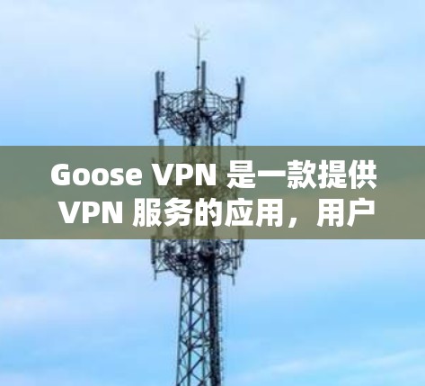 Goose VPN 是一款提供 VPN 服务的应用，用户可以通过它来保护隐私、匿名上网或访问受限的网络内容。以下是 Goose VPN 账号注册的新手使用流程