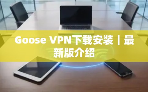 Goose VPN下载安装｜最新版介绍