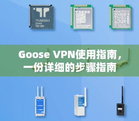 Goose VPN使用指南，一份详细的步骤指南