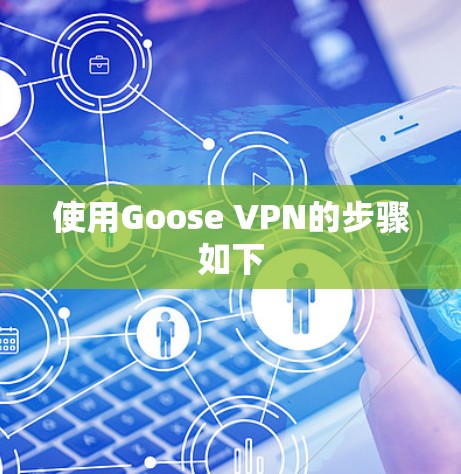 使用Goose VPN的步骤如下