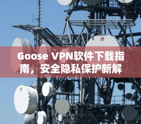 Goose VPN软件下载指南，安全隐私保护新解决方案