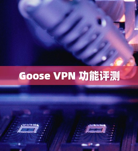 Goose VPN 功能评测