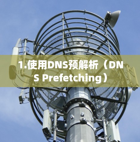 1.使用DNS预解析（DNS Prefetching）