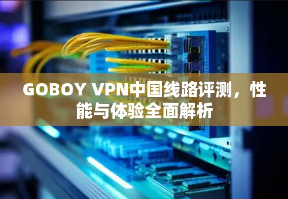 GOBOY VPN中国线路评测，性能与体验全面解析