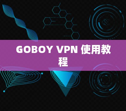 GOBOY VPN 使用教程