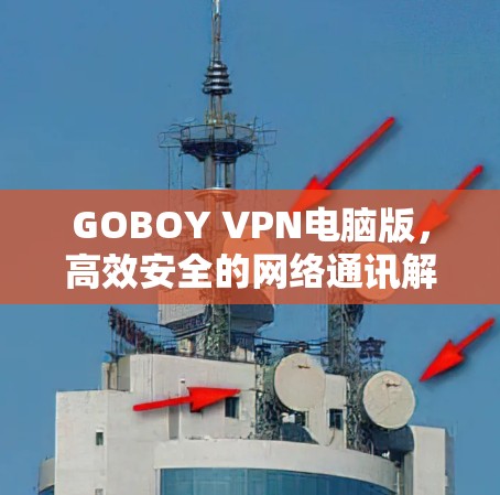 GOBOY VPN电脑版，高效安全的网络通讯解决方案