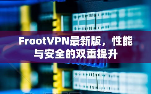 FrootVPN最新版，性能与安全的双重提升