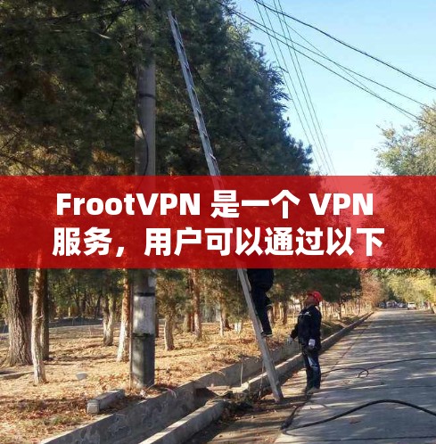FrootVPN 是一个 VPN 服务，用户可以通过以下步骤进行配置