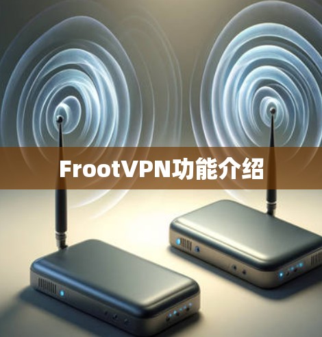 FrootVPN功能介绍