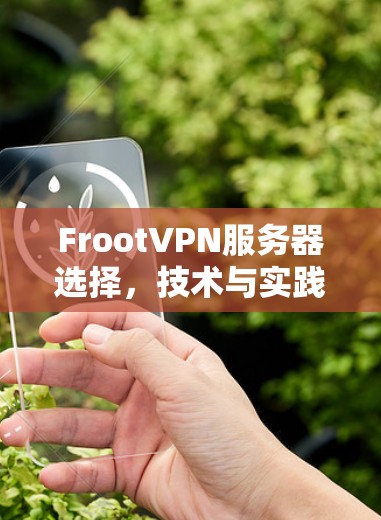 FrootVPN服务器选择，技术与实践指南