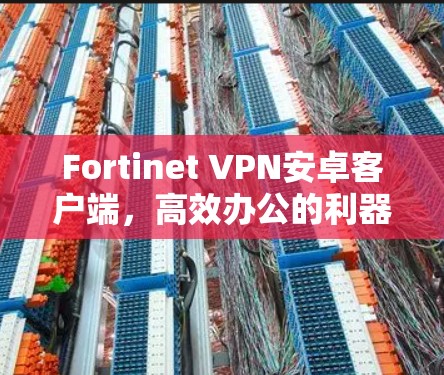 Fortinet VPN安卓客户端，高效办公的利器