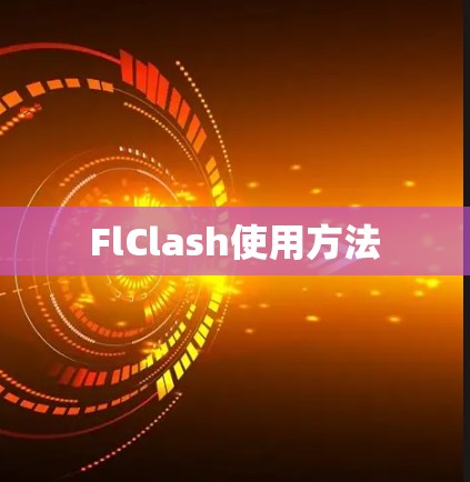 FlClash使用方法