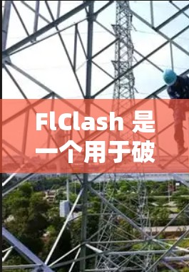 FlClash 是一个用于破解游戏的工具，但请注意，使用此类工具可能涉及法律风险。以下是使用 FlClash 客户端的简要指南，供信息参考