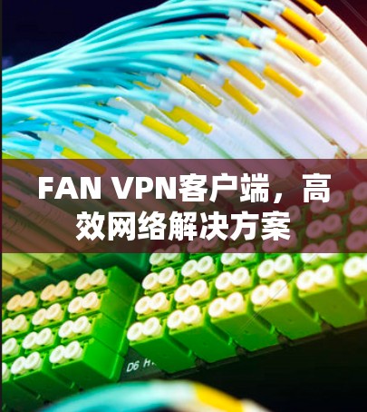 FAN VPN客户端，高效网络解决方案