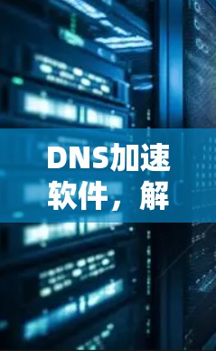 DNS加速软件，解析网络性能的关键因素