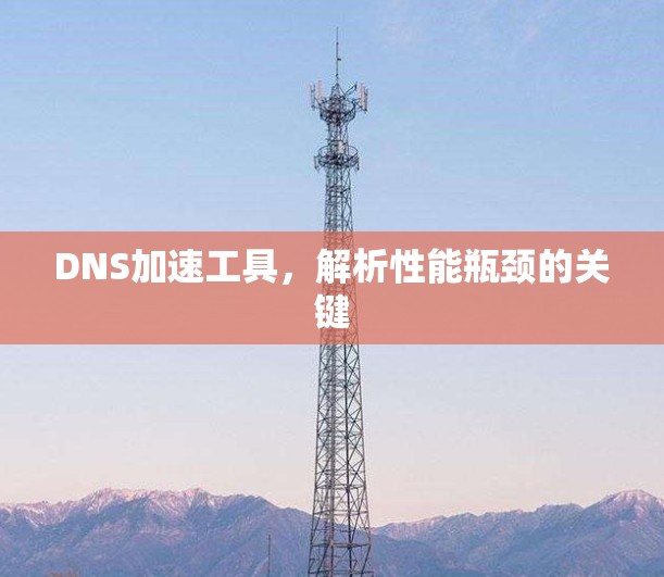 DNS加速工具，解析性能瓶颈的关键