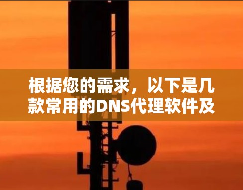 根据您的需求，以下是几款常用的DNS代理软件及其最新版本和特点