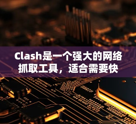Clash是一个强大的网络抓取工具,适合需要快速获取网页内容的用户。以下是使用Clash的分步指南