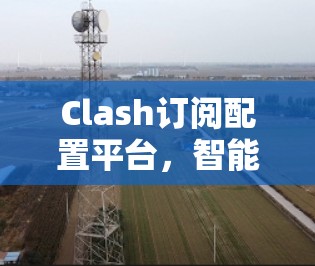 Clash订阅配置平台，智能化管理与高效订阅