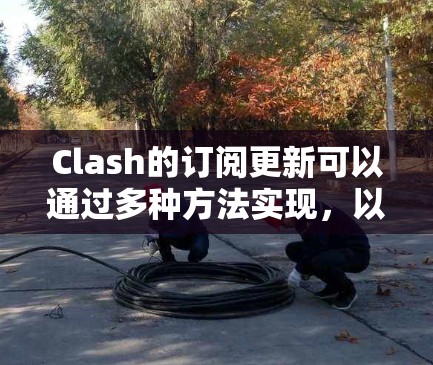 Clash的订阅更新可以通过多种方法实现，以确保功能的最新性和规则的及时更新。以下是几种常见方法的总结