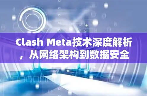 Clash Meta技术深度解析，从网络架构到数据安全