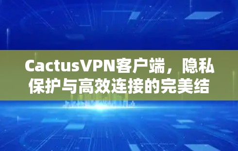 CactusVPN客户端，隐私保护与高效连接的完美结合