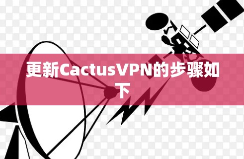 更新CactusVPN的步骤如下