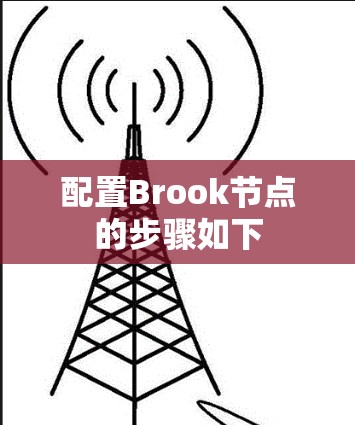配置Brook节点的步骤如下