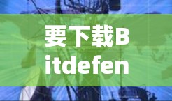 要下载Bitdefender VPN的最新版，请按照以下步骤操作